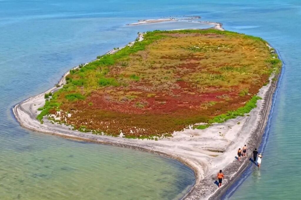 В Каспийском море у берегов Казахстана появился новый остров