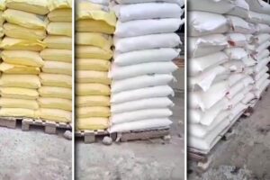Кубань готова экспортировать муку и сахар в Туркменистан — Администраация края